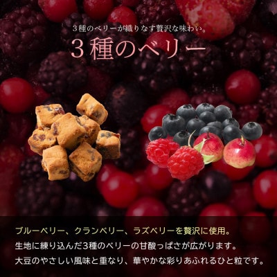 ソイキューブ 3種のベリー 1kg(100g×10袋)