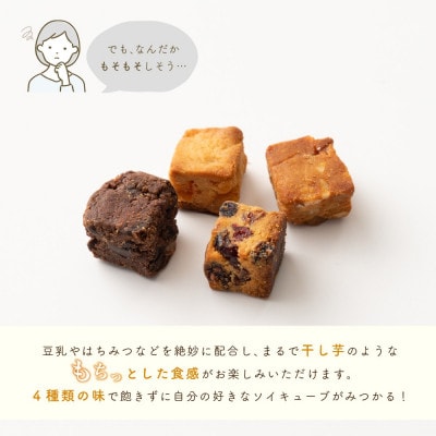 ソイキューブ アーモンド&オレンジピール 600g(100g×6袋)