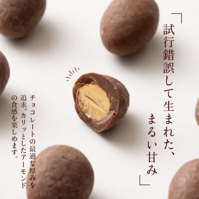 チョコたっぷりミルクアーモンド 2kg(500g×4袋)