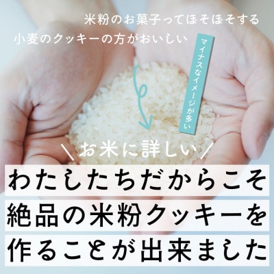 贅沢米粉のクッキー ココア 200g(100g×2袋)