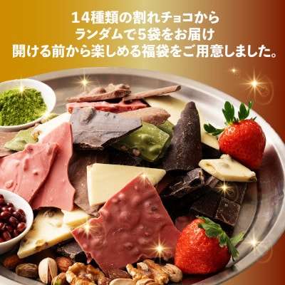割れチョコ14種類から5袋が届くお楽しみ福袋(内容ランダム・180g×5袋)