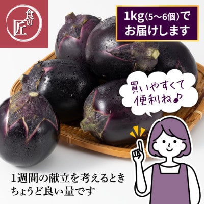 折戸なす　1kg