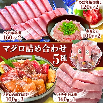 【マグロ詰め合わせ】5種 バラエティパック～めばち鮪切り出し、ねぎとろ、赤身柵、中トロ柵、紅白漬け～