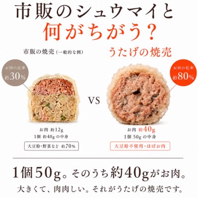 【ふるさと納税限定小分けパック】ご褒美点心 もち米焼売「真珠焼売」 200g(4個入り)×4袋