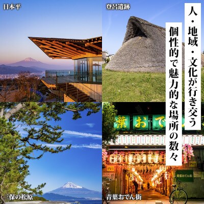 静岡市 後から選べる旅行Webカタログで使える! 旅行クーポン(900,000円分) 旅行券 宿泊券