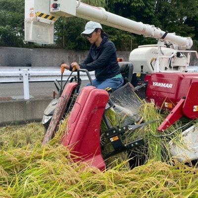 【令和7年産・精米】静岡県産こしひかり2kg/栽培期間中農薬不使用