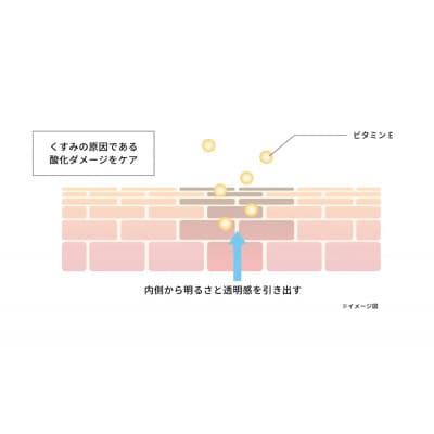 オルモニカ ピュリファイング ウォッシュ 100g