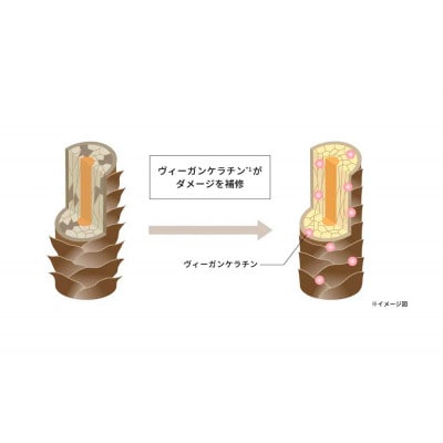 オルモニカ モイスチャー シャンプー 400ml