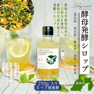 大学研究の天然酵母使用　新感覚発酵シロップ(柚子味) 5～7倍希釈・250g入り