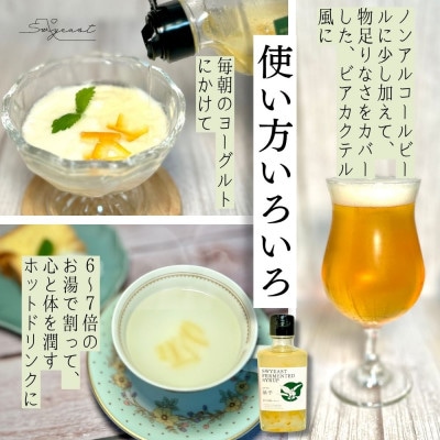 大学研究の天然酵母使用　新感覚発酵シロップ(柚子味) 5～7倍希釈・250g入り