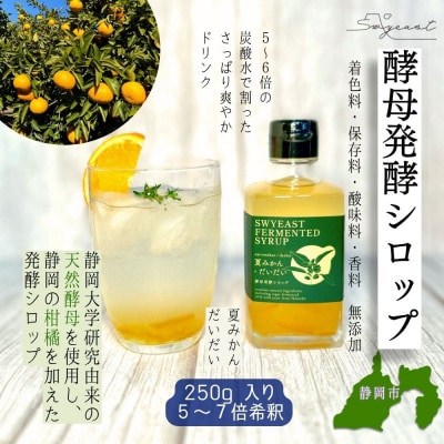 大学研究の天然酵母使用　新感覚発酵シロップ(夏みかん&だいだい味)5～7倍希釈・250g入り