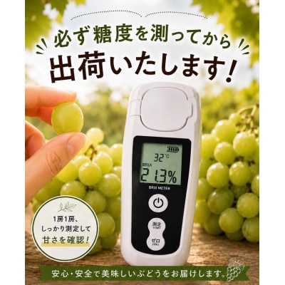 静岡産シャインマスカット3房(約1.5kg)