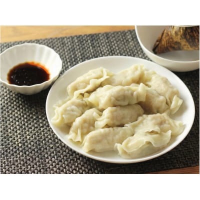 【台湾味】台湾水餃子 4種食べ比べセット(海老・ニラ・肉・コーン)計48個