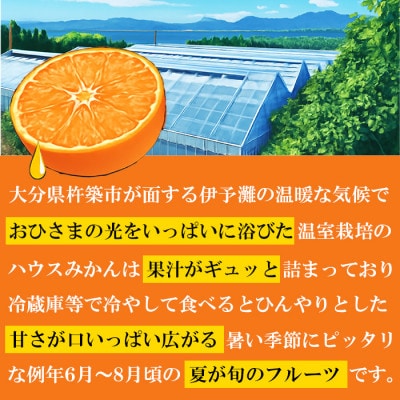 冷やしてひんやり!甘さ広がるハウスミカン約2kg(化粧箱入)