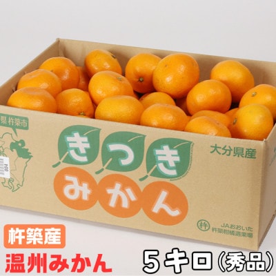 杵築産 温州みかん 5kg(秀品)(S玉～L玉)