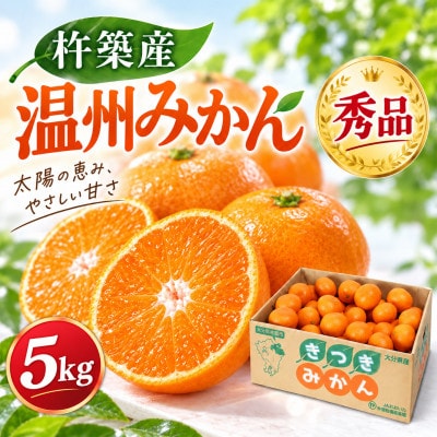 杵築産 温州みかん 5kg(秀品)(S玉～L玉)