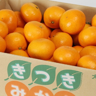 杵築産 温州みかん 5kg(秀品)(S玉～L玉)