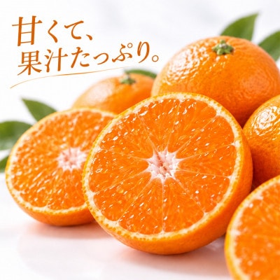 杵築産 温州みかん 5kg(秀品)(S玉～L玉)