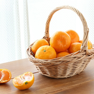 杵築産 温州みかん 5kg(秀品)(S玉～L玉)