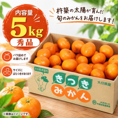 杵築産 温州みかん 5kg(秀品)(S玉～L玉)