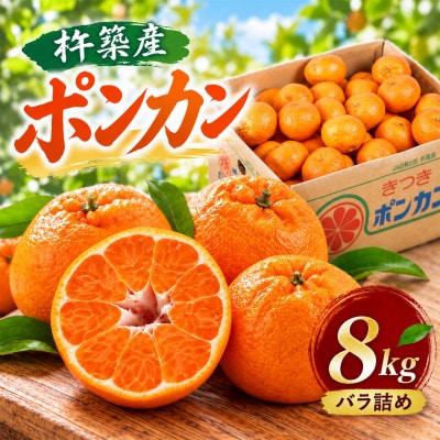 杵築産 ポンカン 8kg(バラ詰め)