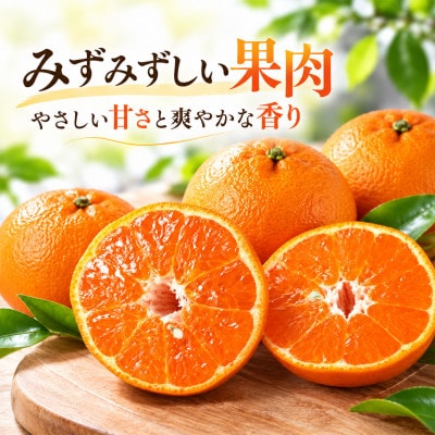 杵築産 ポンカン 8kg(バラ詰め)