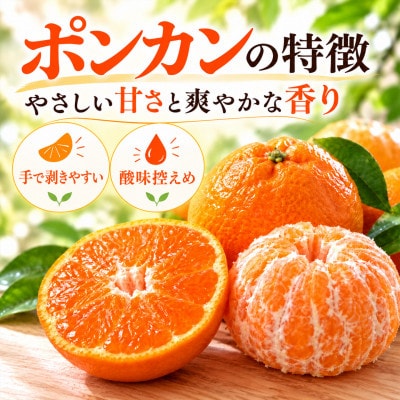 杵築産 ポンカン 8kg(バラ詰め)