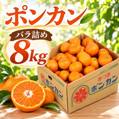 杵築産 ポンカン 8kg(バラ詰め)