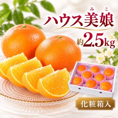 ハウス美娘 約2.5kg(化粧箱入)