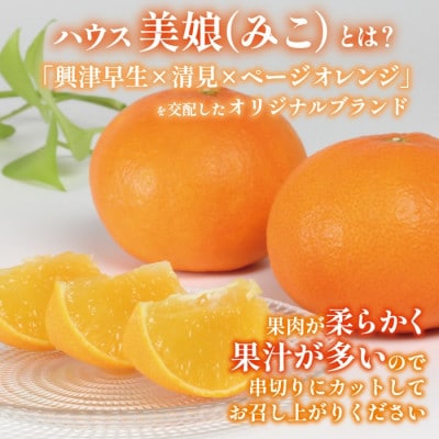 ハウス美娘 約2.5kg(化粧箱入)