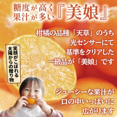 ハウス美娘 約2.5kg(化粧箱入)