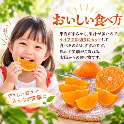 ハウス美娘 約2.5kg(化粧箱入)