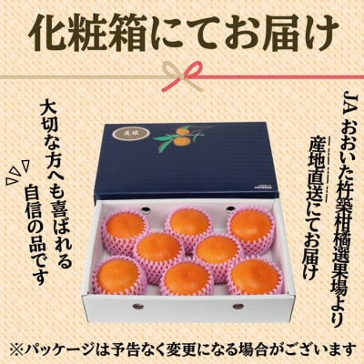 ハウス美娘 約2.5kg(化粧箱入)