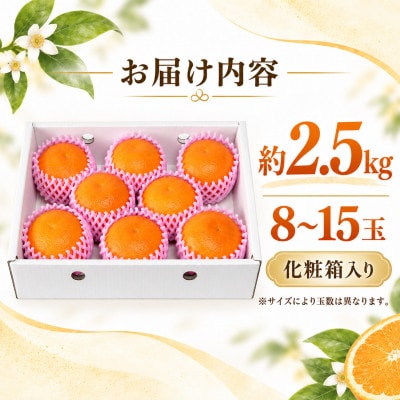 ハウス美娘 約2.5kg(化粧箱入)