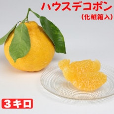 ハウスデコポン 約3kg(化粧箱入)