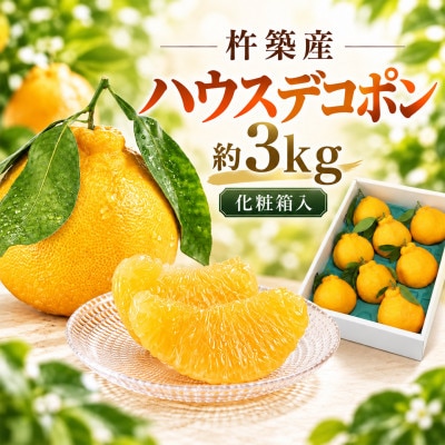 ハウスデコポン 約3kg(化粧箱入)