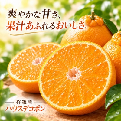 ハウスデコポン 約3kg(化粧箱入)