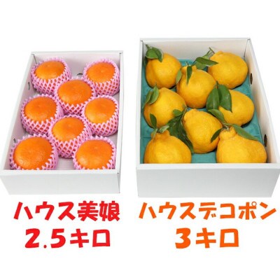 ハウス美娘&ハウスデコポン 計約5.5kgセット(化粧箱入)