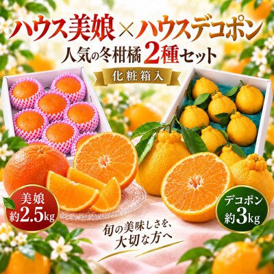 ハウス美娘&ハウスデコポン 計約5.5kgセット(化粧箱入)