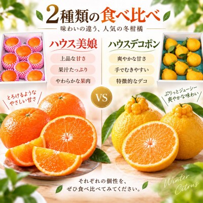 ハウス美娘&ハウスデコポン 計約5.5kgセット(化粧箱入)