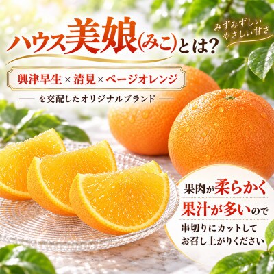 ハウス美娘&ハウスデコポン 計約5.5kgセット(化粧箱入)