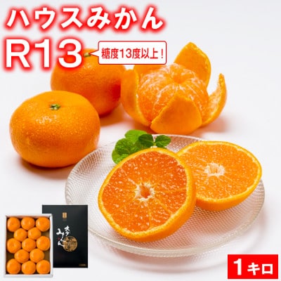糖度13度以上!プレミアムハウスミカンR13　約1kg　化粧箱入