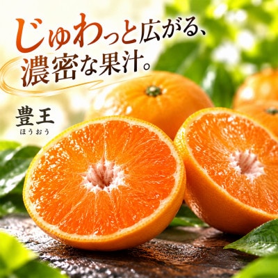 豊王(ほうおう)約3kg(化粧箱入)