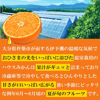 冷やしてひんやり! 甘さ広がるハウスミカン! 約2kg入り (バラ詰め)