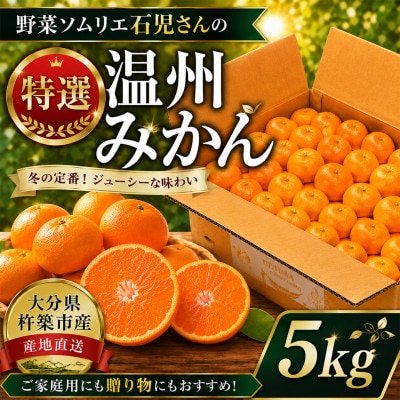 野菜ソムリエが育てた九州・大分県杵築産「特選 温州みかん」5kg(M、L玉)