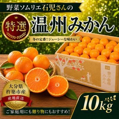 野菜ソムリエが育てた九州・大分県杵築産「特選 温州みかん」10kg(M、L玉)