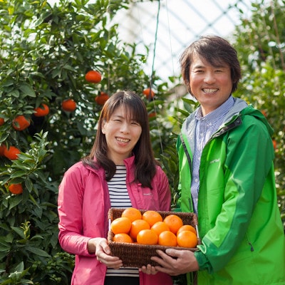 野菜ソムリエが育てた九州・大分県杵築産「特選 温州みかん」10kg(M、L玉)