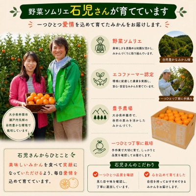野菜ソムリエが育てた九州・大分県杵築産「特選 温州みかん」10kg(M、L玉)