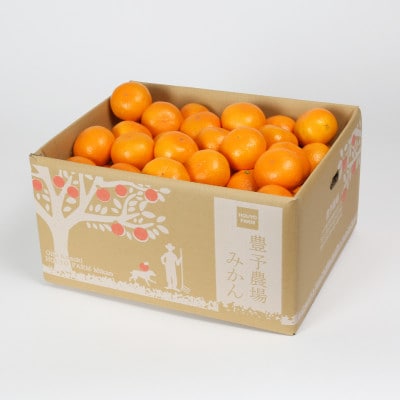 野菜ソムリエが育てた九州・大分県杵築産「特選 温州みかん」10kg(M、L玉)