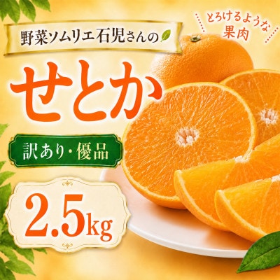 【訳あり・優品】野菜ソムリエが育てた九州・大分県杵築産「せとか」2.5kg(5～16玉)